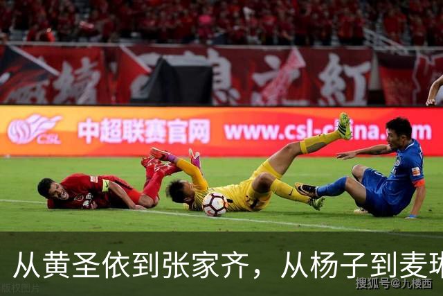 从黄圣依到张家齐，从杨子到麦琳，捅了NPD的窝