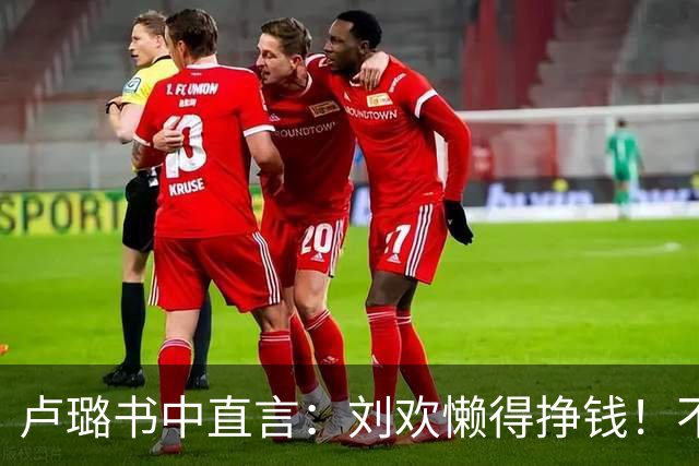 卢璐书中直言：刘欢懒得挣钱！不是躺平，是不愿被名利绑架
